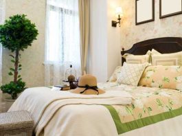 ต้นไม้สวยๆ ปลูกในห้องนอน