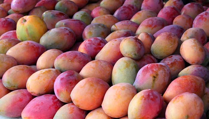 ข้าวสาร ประโยชน์ ข้าวสาร ประโยชน์