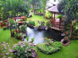 บ่อเลี้ยงปลา