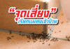 แมลง เข้าบ้าน